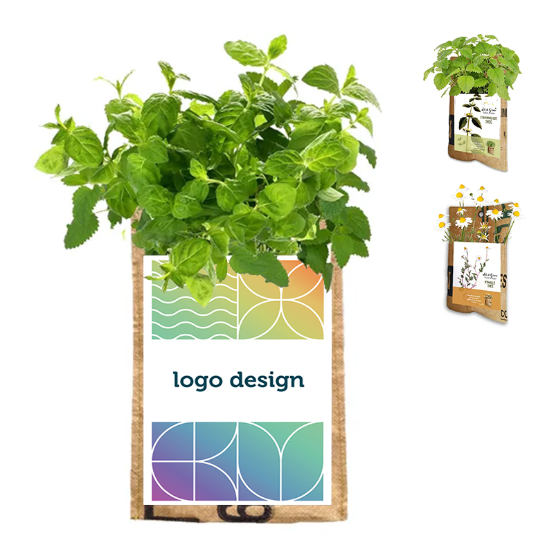 Hanging garden tea